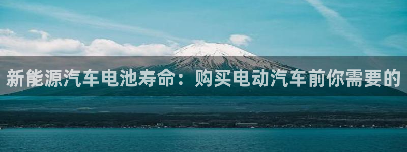 优发国际官网首页入口：新能源汽车电池寿命：购买电动汽车前你需要的