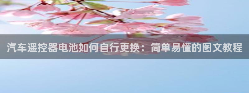 优发国际安卓版下载安装苹果：汽车遥控器电池如何自行更换：简单易懂的图文教程