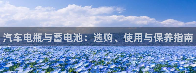 优发国际手机客户端：汽车电瓶与蓄电池：选购、使用与保养指南