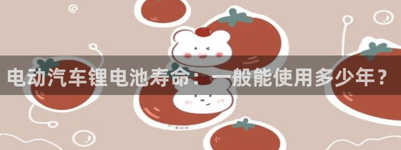 优发国际手机版网站登录：电动汽车锂电池寿命：一般能使用多少年？