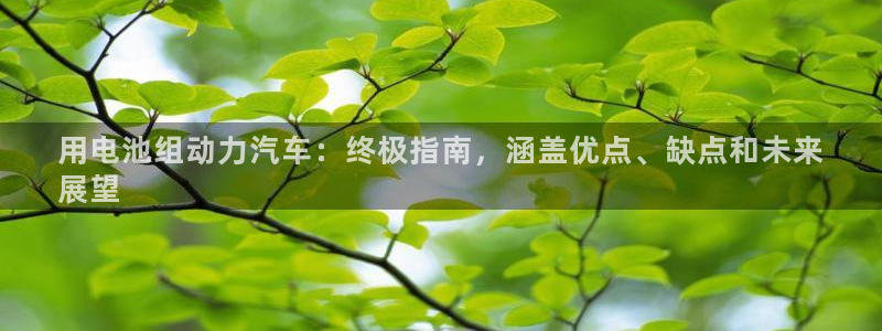 优发国际合并到哪里了：用电池组动力汽车：