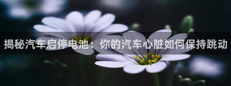 优发国际平台app下载安装：揭秘汽车启停