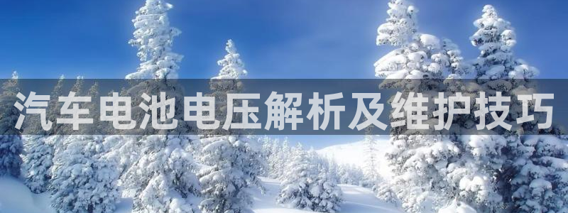 优发娱乐pt官网客户端：汽车电池电压解析及维护技巧